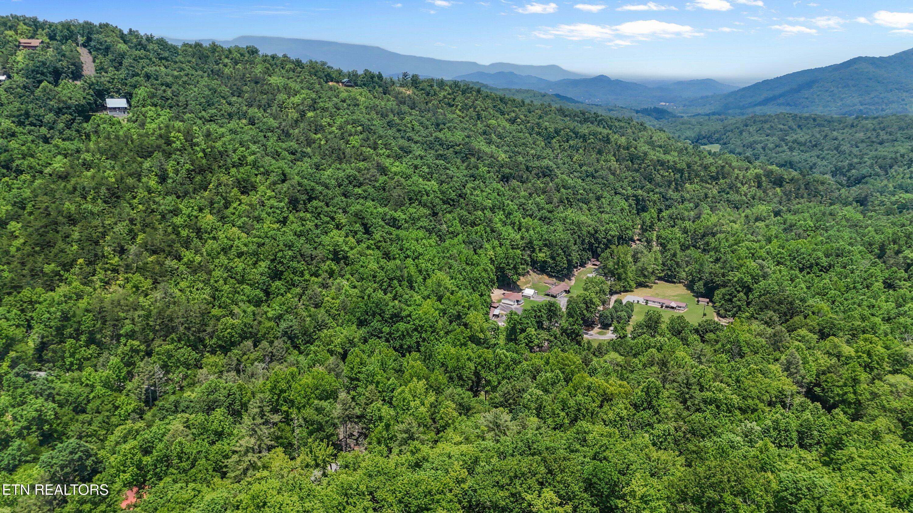 4539 Houge Way Cosby, TN 37722 - Photo 3 of 10 3) 64038-68e816dd7978c