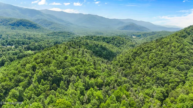 $175,000 | 4539 Houge Way, Cosby, TN 37722