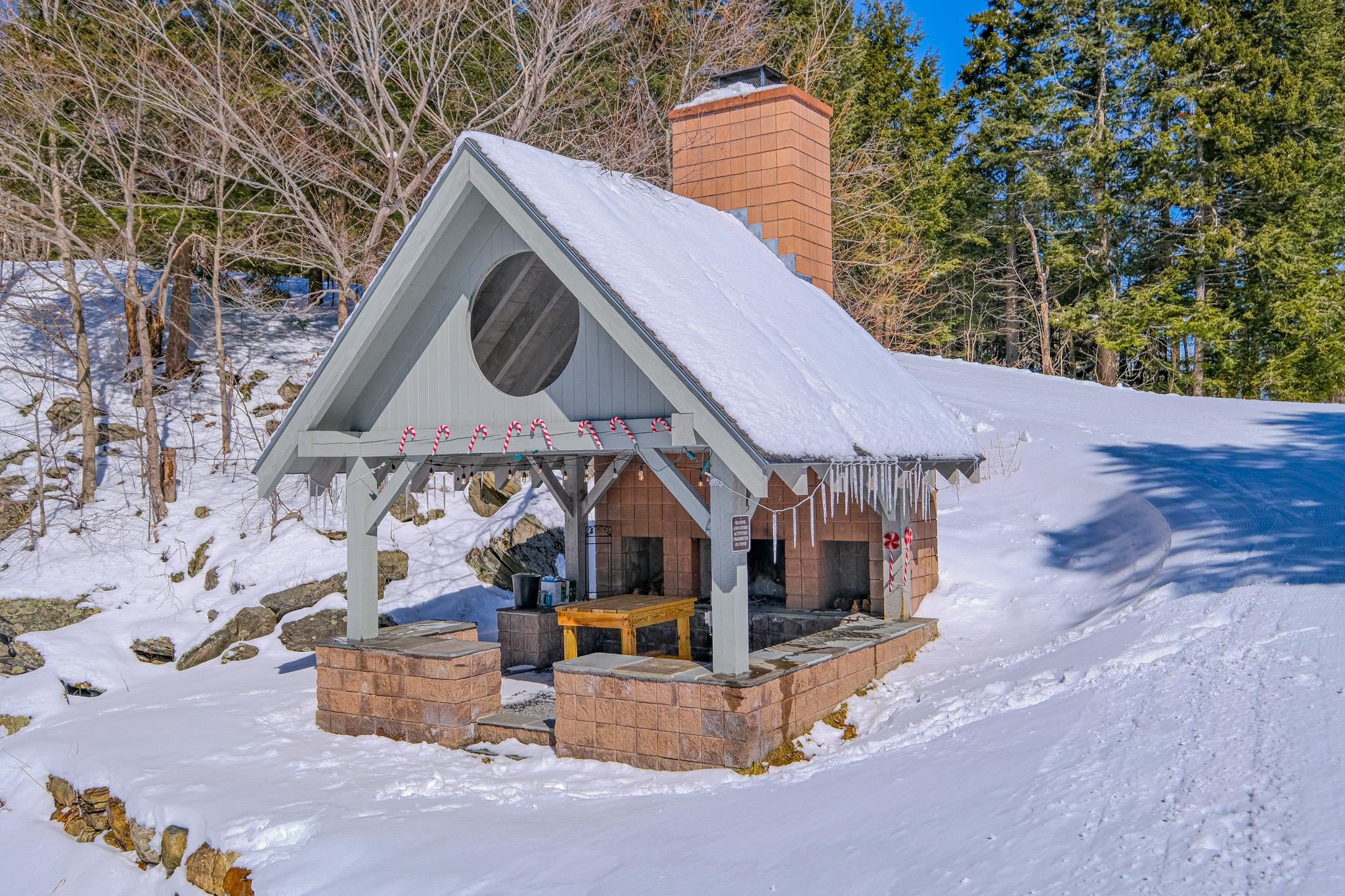 22 Harrison Lane, Unit L101 Ludlow, VT 05149 - Photo 21 of 22