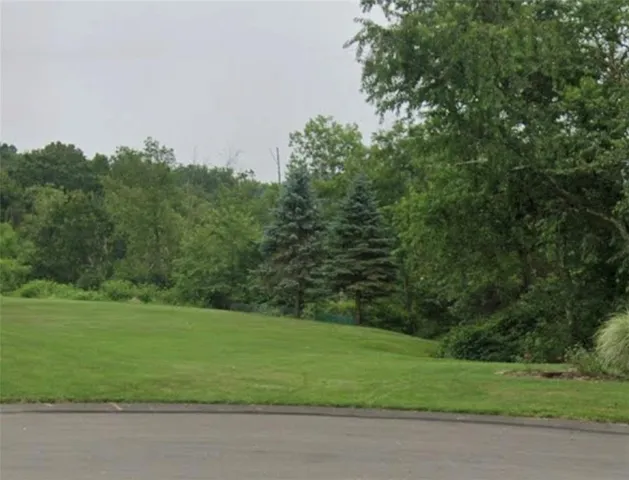 a view of a grassy field with trees