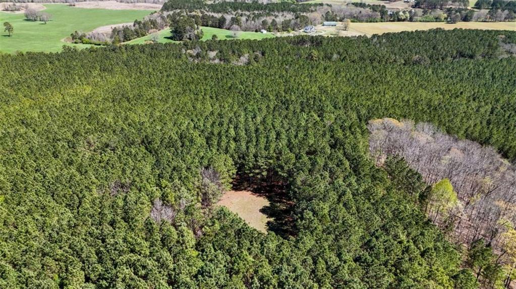 403-ac Youngs Farm Road Cedartown, GA 30125 - Photo 10 of 15