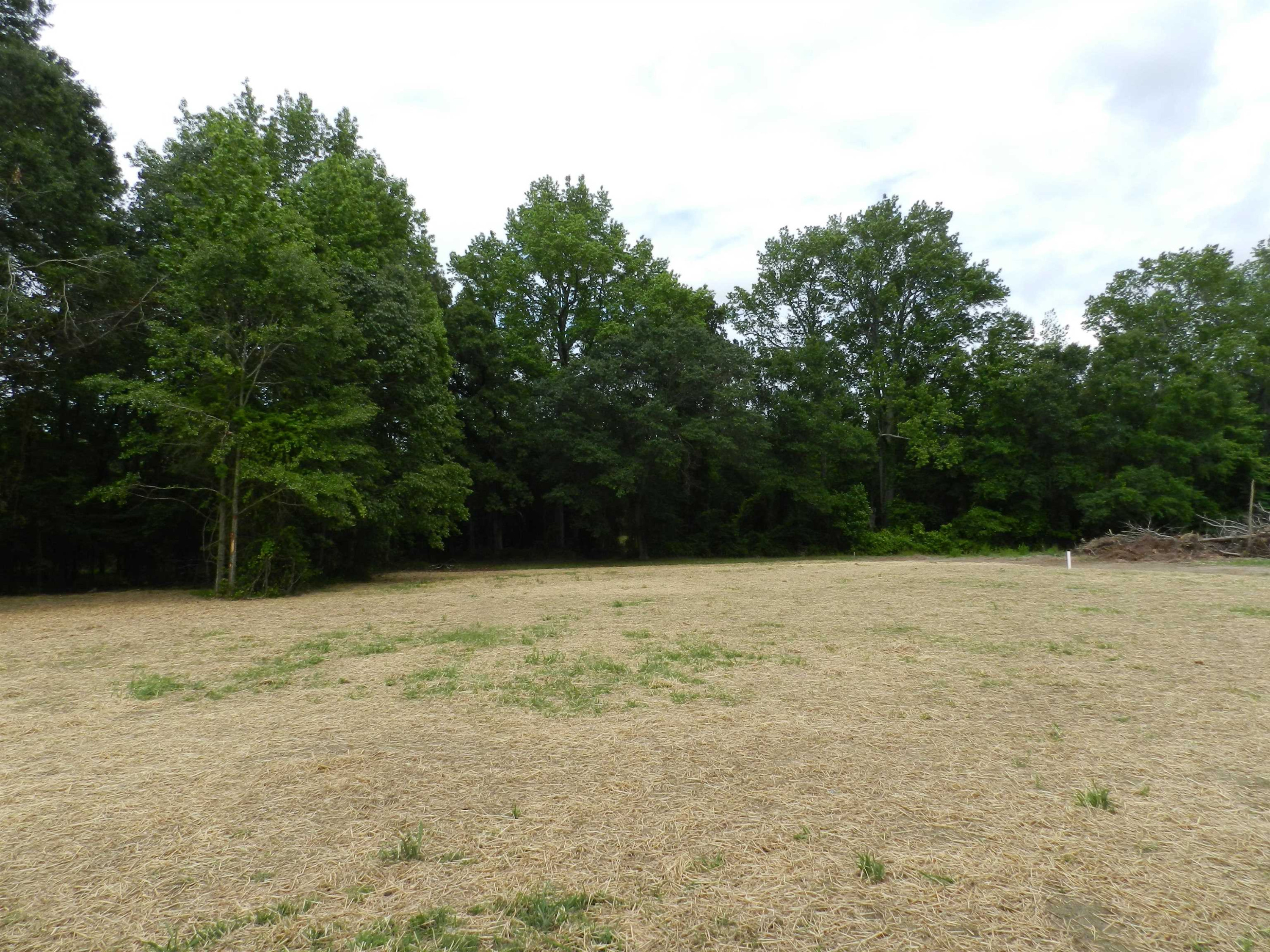 1318 Lee Road Clayton, NC 27520 - Photo 16 of 17 Photo 16