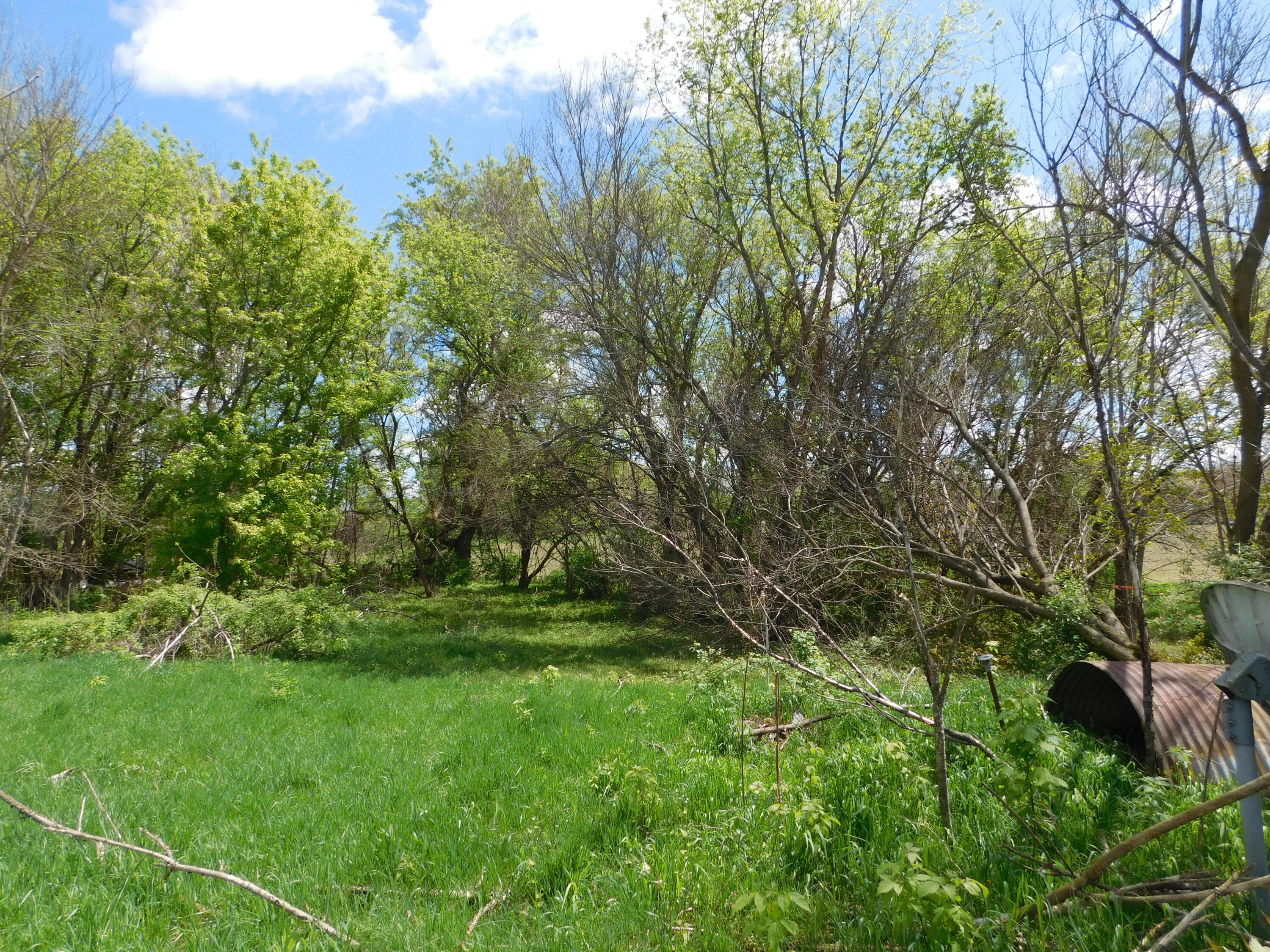 64277 Union Road Vandalia, MI 49095 - Photo 15 of 27 DSCN8590