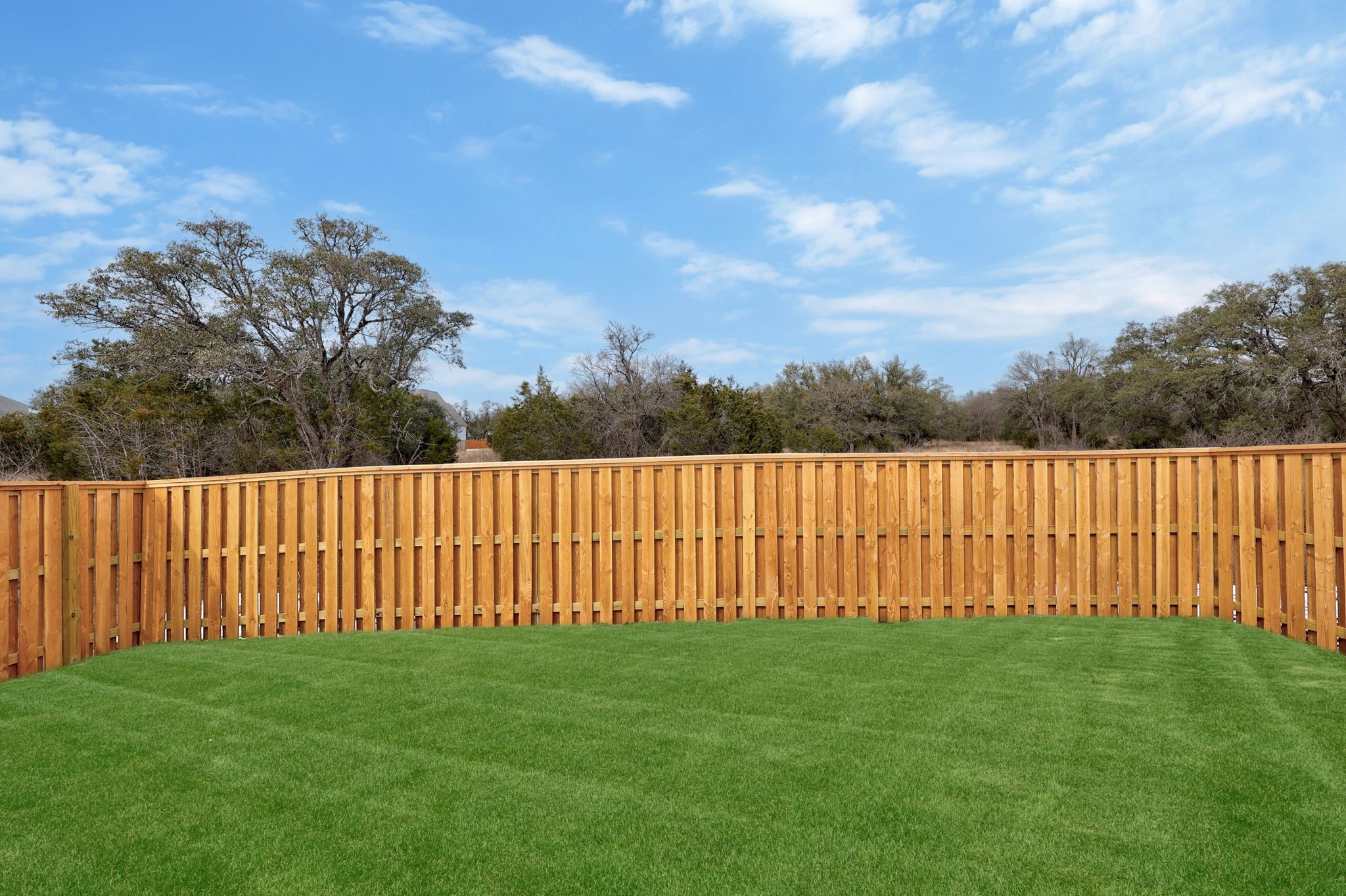 425 Buckaroo Drive Georgetown, TX 78633 - Photo 23 of 28 *Grass has been digitally enhanced.