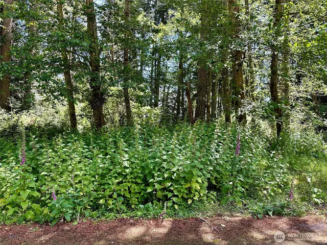 a backyard of a house with lots of green space