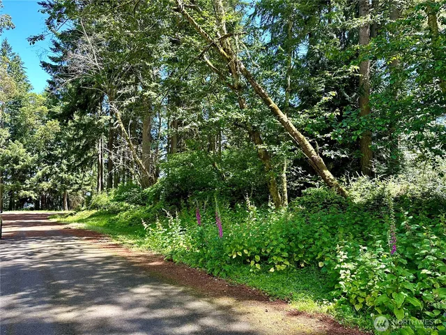 a view of a garden with plants