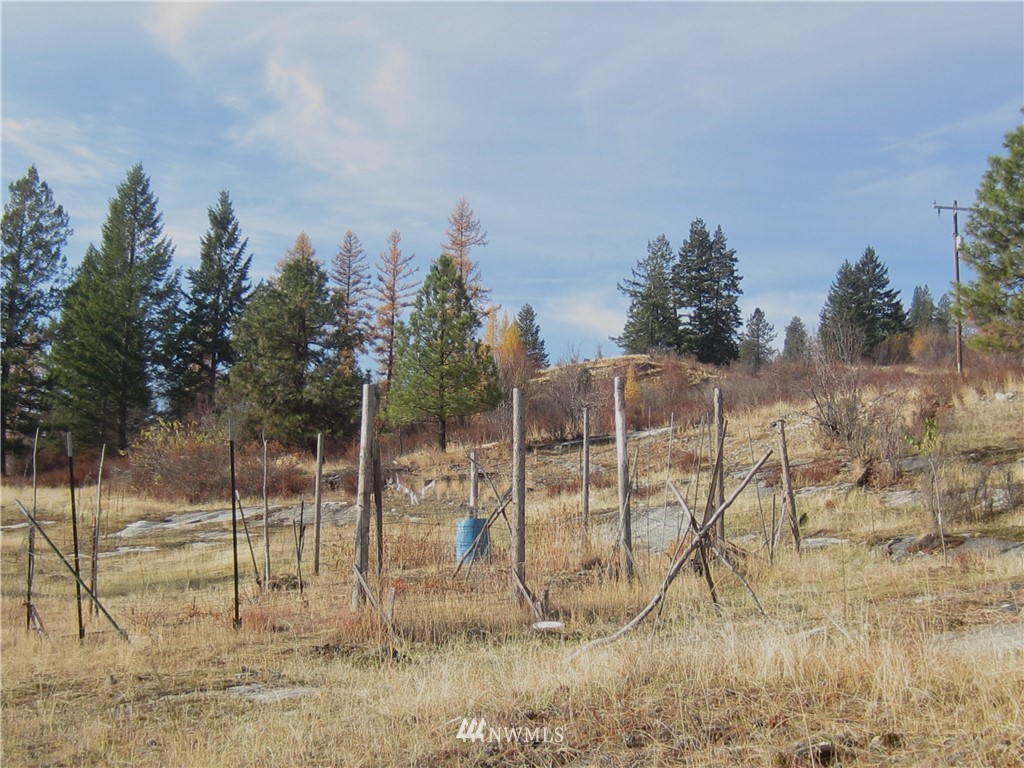 3470 B Moore Road Kettle Falls, WA 99141 - Photo 14 of 22 Gallery Image 14