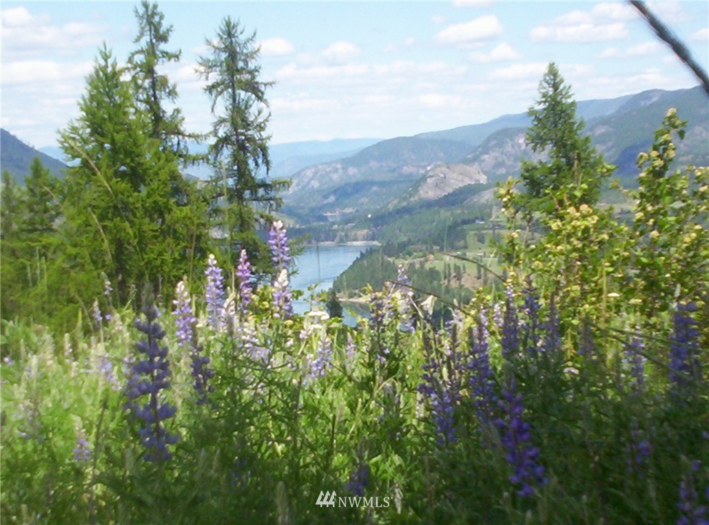 3470 B Moore Road Kettle Falls, WA 99141 - Photo 7 of 22 Gallery Image 7