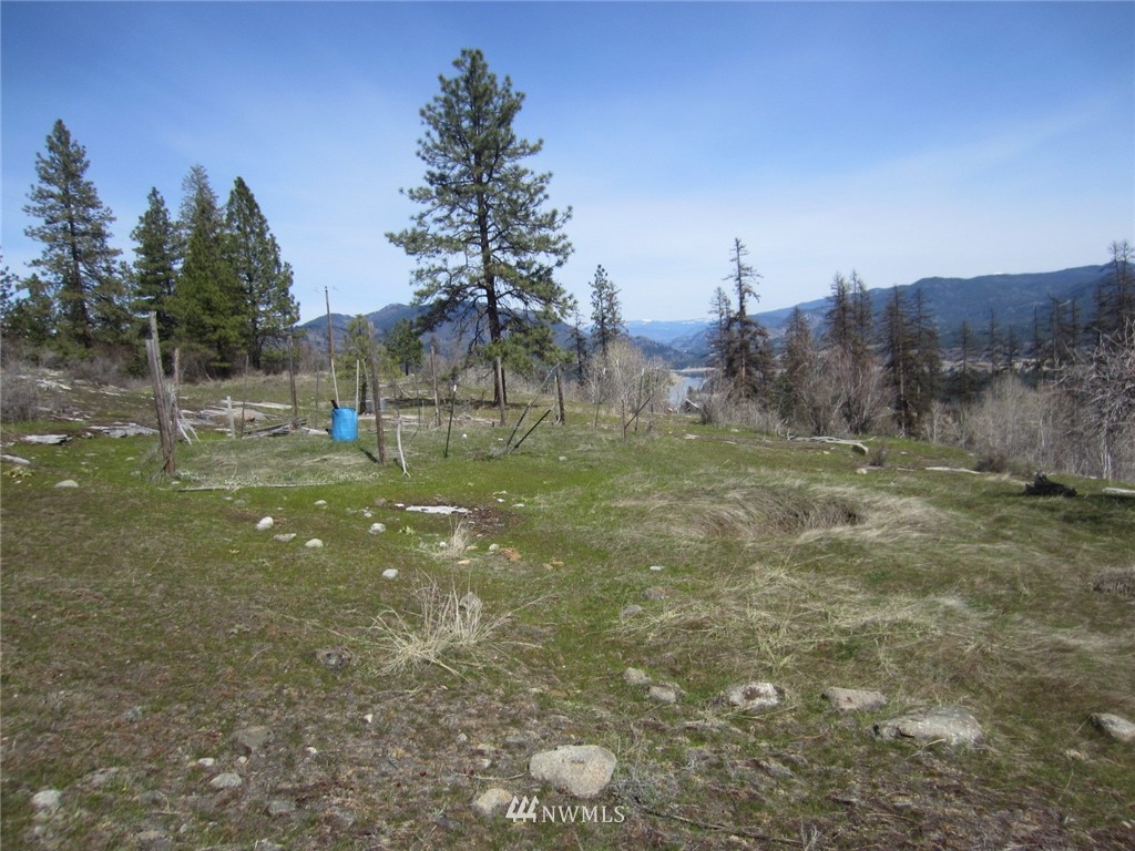 3470 B Moore Road Kettle Falls, WA 99141 - Photo 10 of 22 Gallery Image 10