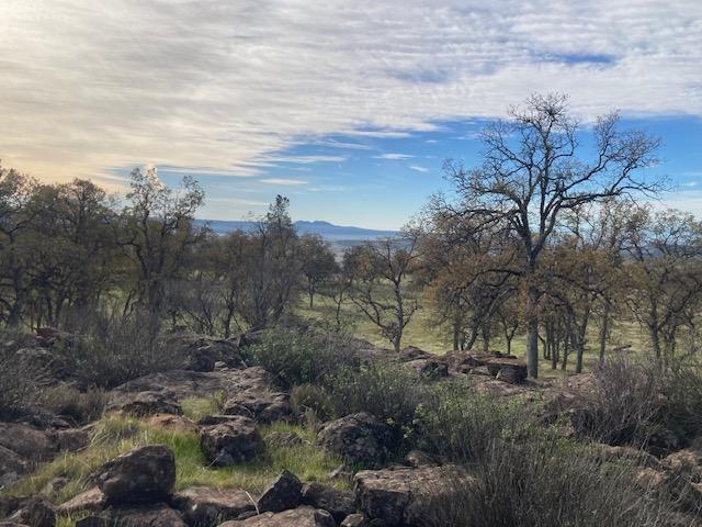 Campo Dios Road Shingletown, CA 96088 - Photo 5 of 7 Very peaceful and private