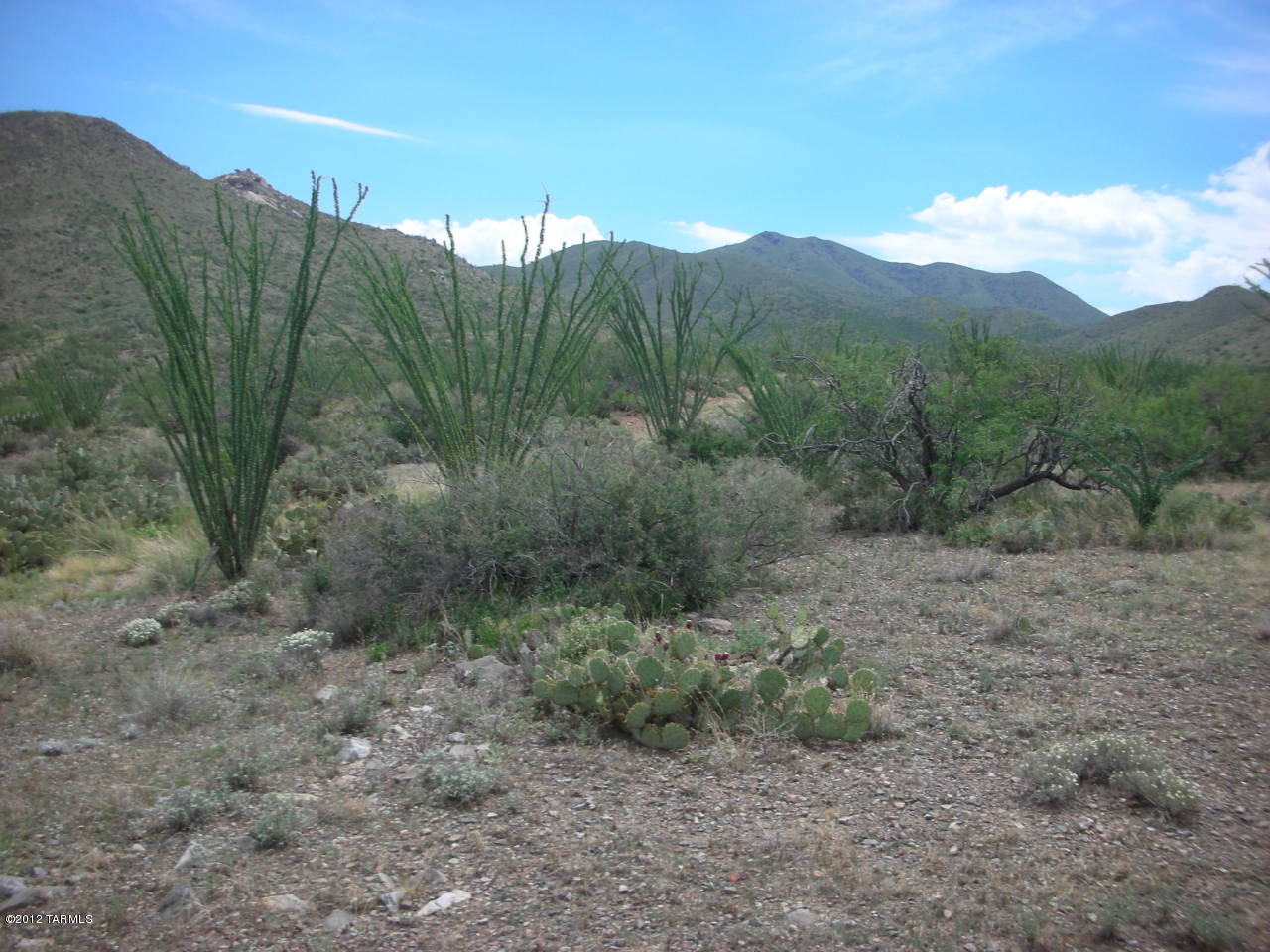 Tbd South Houghton Road Vail, AZ 85641 - Photo 9 of 22 Gallery Image 9