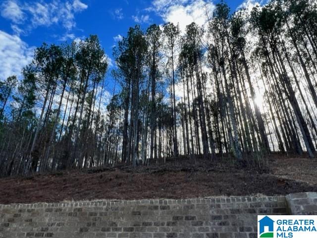 3845 Sportsman Lake Road Odenville, AL 35120 - Photo 16 of 21