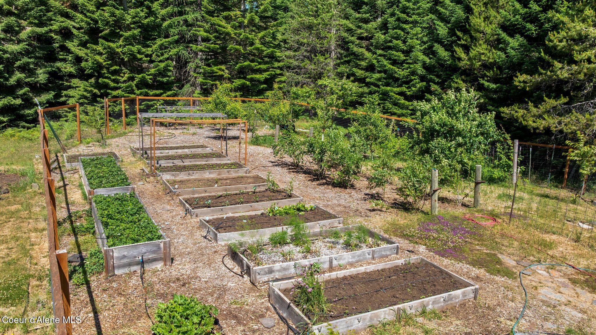 4719 Selle Road Sandpoint, ID 83864 - Photo 27 of 93 Established garden