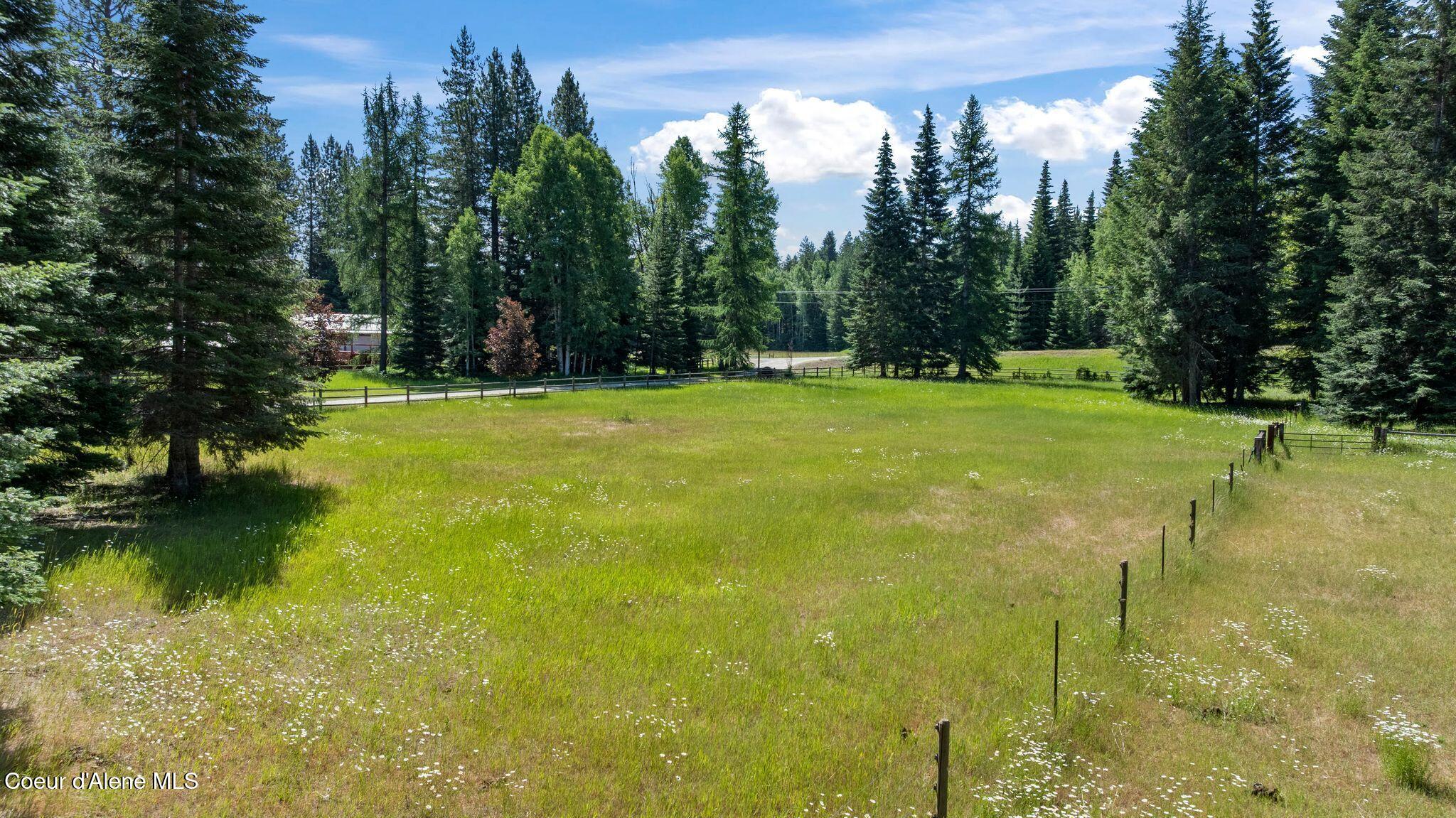 4719 Selle Road Sandpoint, ID 83864 - Photo 56 of 93 Horse pasture