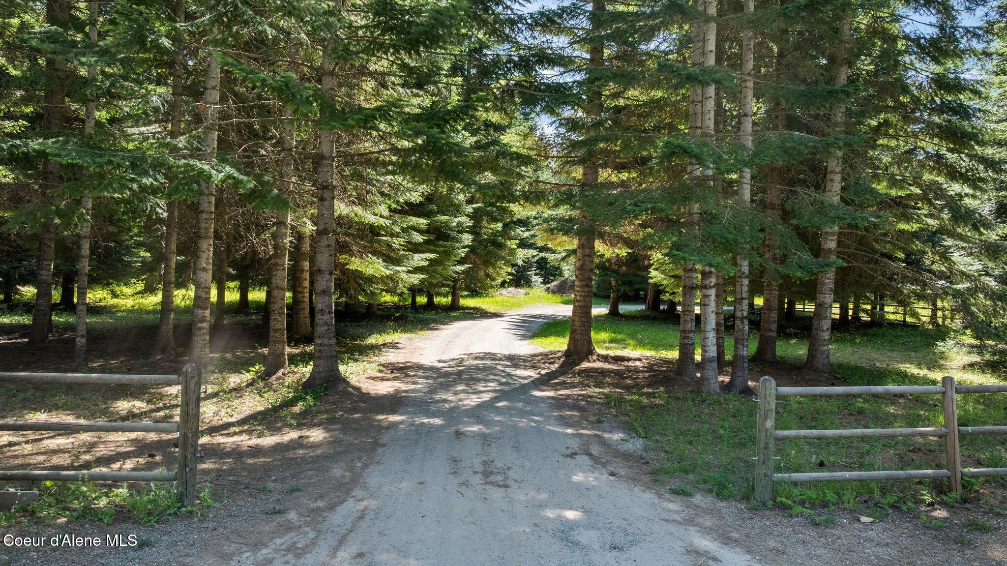 4719 Selle Road Sandpoint, ID 83864 - Photo 6 of 93 Tree lined entry