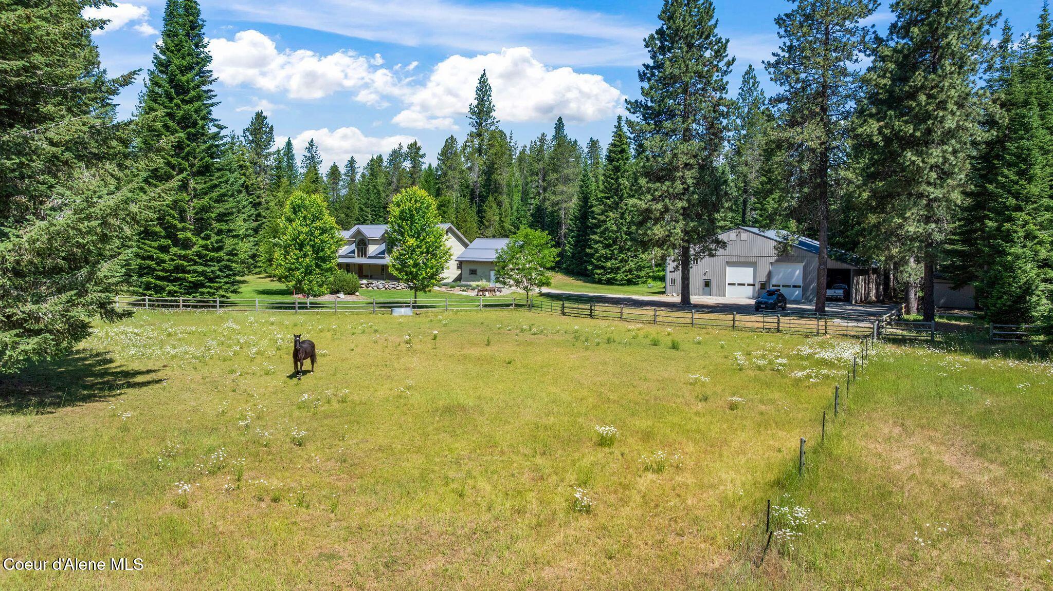 4719 Selle Road Sandpoint, ID 83864 - Photo 7 of 93 Fenced pasture