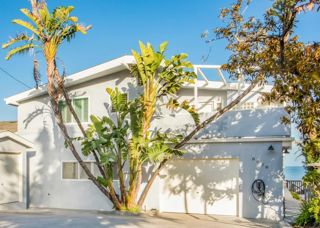 a view of a flower pot