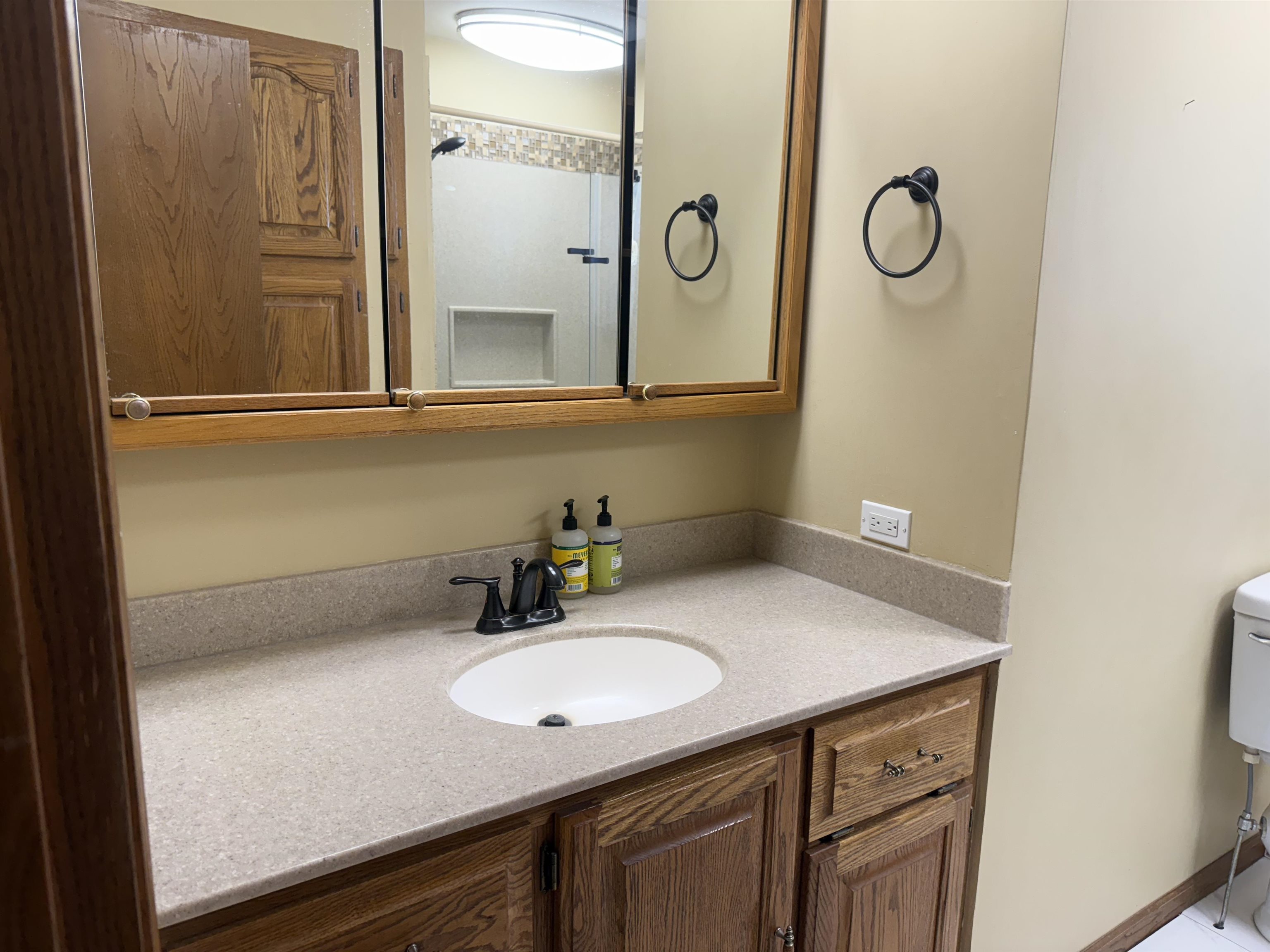 7873 South Rich Road Middleton, MI 48856 - Photo 37 of 57
