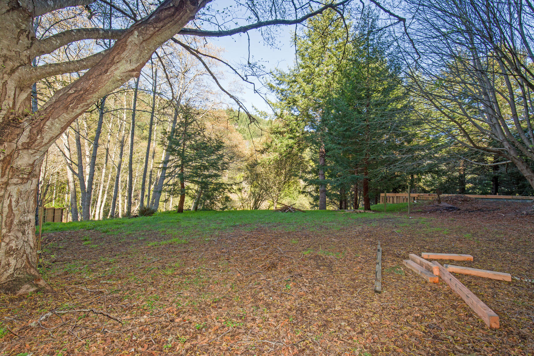 515 Beach Road Shelter Cove, CA 95589 - Photo 18 of 31