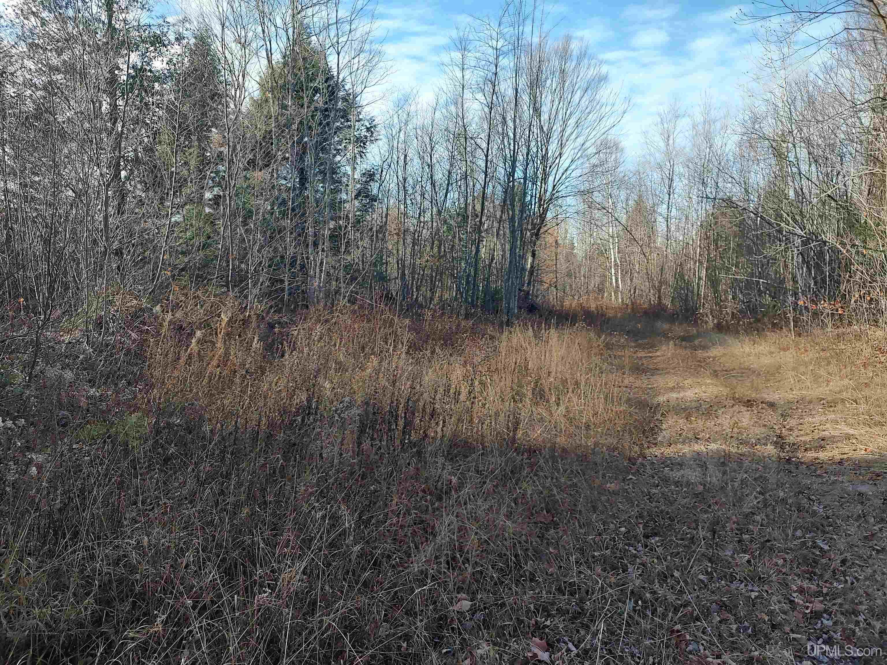 Tbd Billie Helmer Road Deerton, MI 49822 - Photo 11 of 20