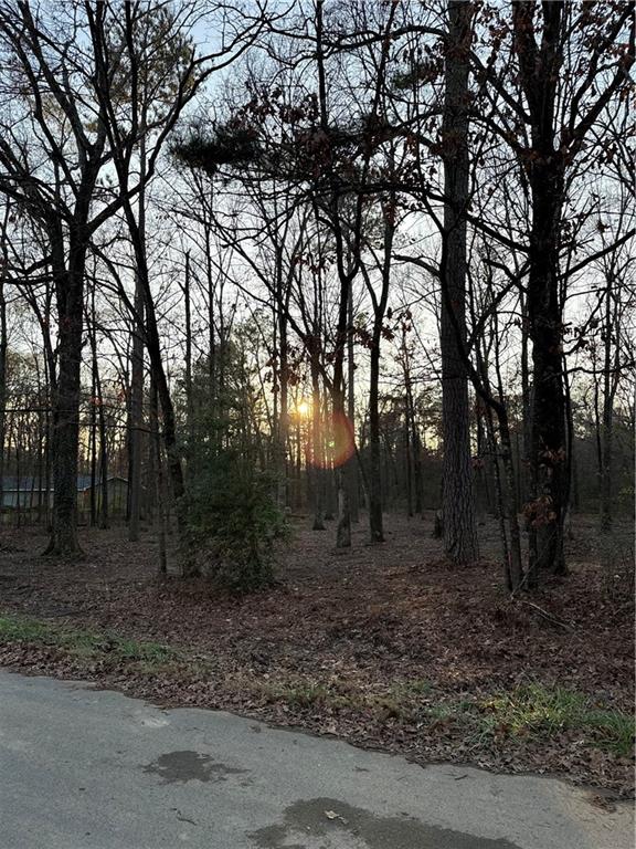 0 Deer Park Lane Calhoun, GA 30701 - Photo 3 of 5