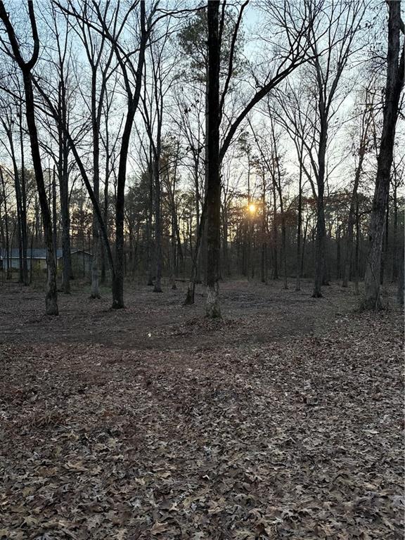 0 Deer Park Lane Calhoun, GA 30701 - Photo 4 of 5