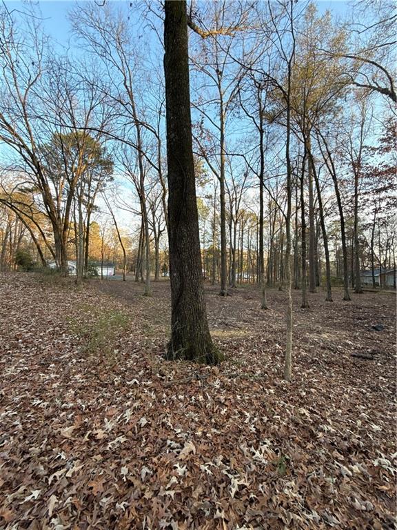 0 Deer Park Lane Calhoun, GA 30701 - Photo 5 of 5