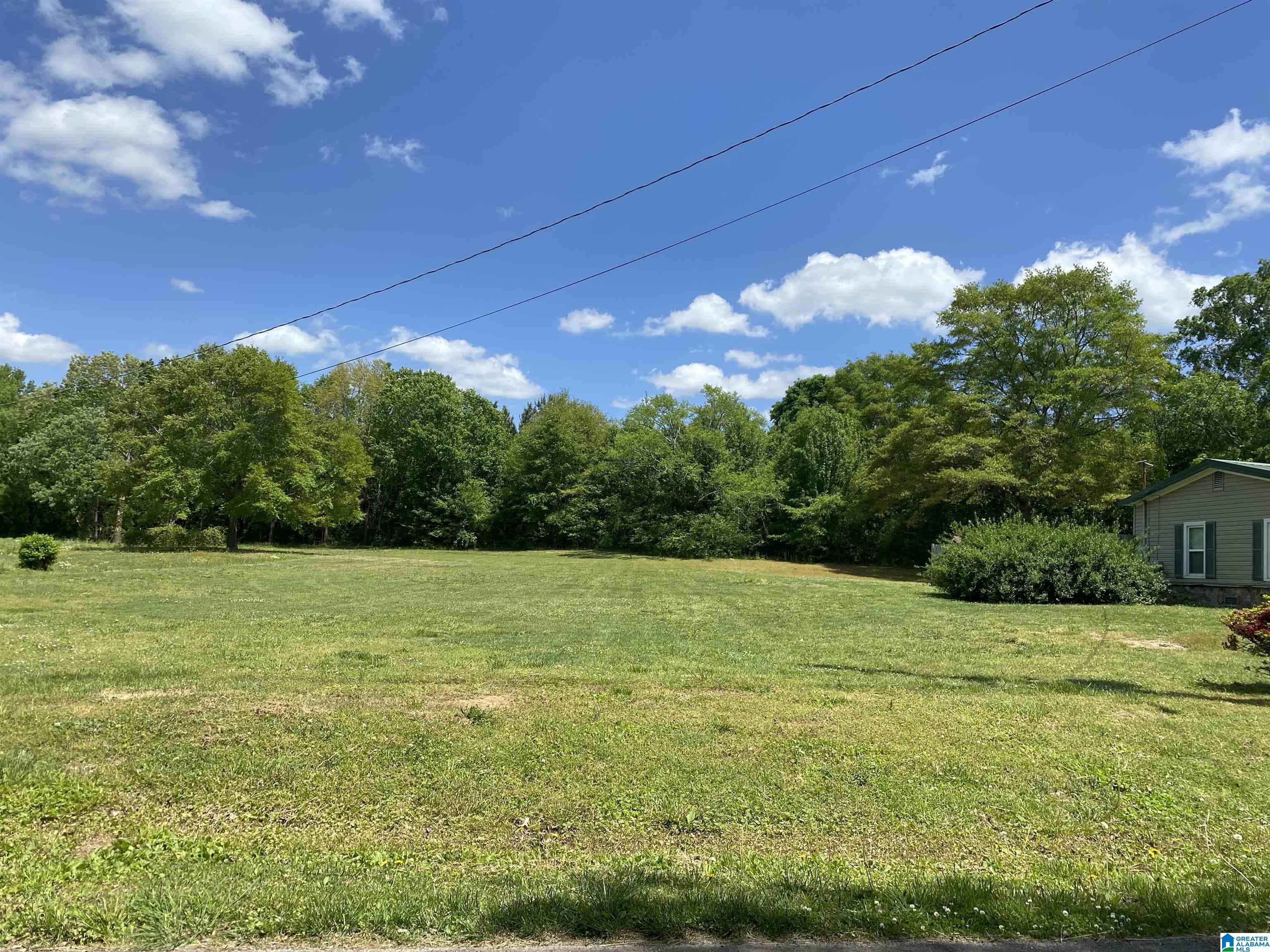 157 Old Denson Road Boaz, AL 35957 - Photo 2 of 14