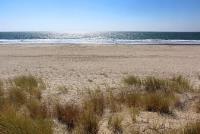 101 Shell Road, Unit 210 Watsonville, CA 95076 - Photo 20 of 26 a view of an ocean and beach