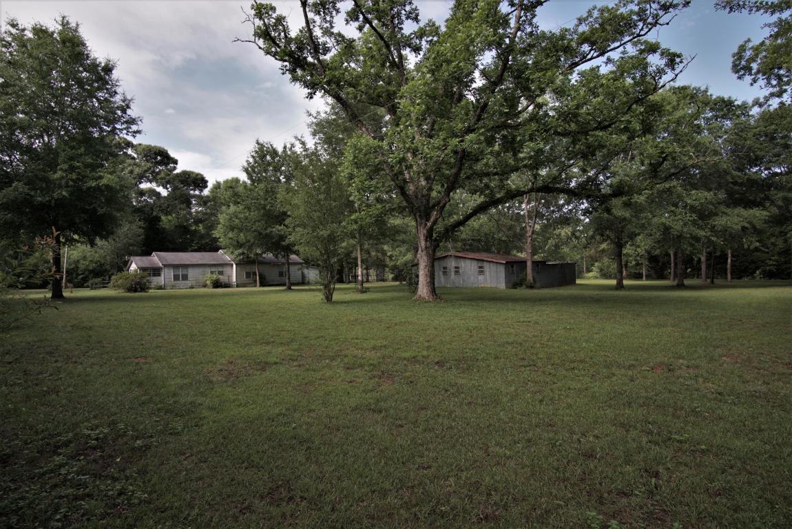 6564 Old River Road Baker, FL 32531 - Photo 3 of 70 a view of a trees in front of a house