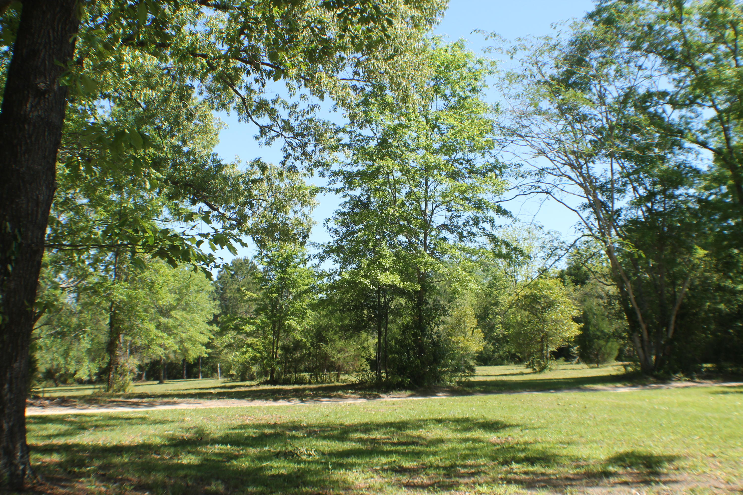 6564 Old River Road Baker, FL 32531 - Photo 44 of 70 a view of a green field with wooden fence