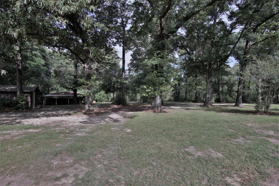 6564 Old River Road Baker, FL 32531 - Photo 5 of 70 a view of a tree in front of a house