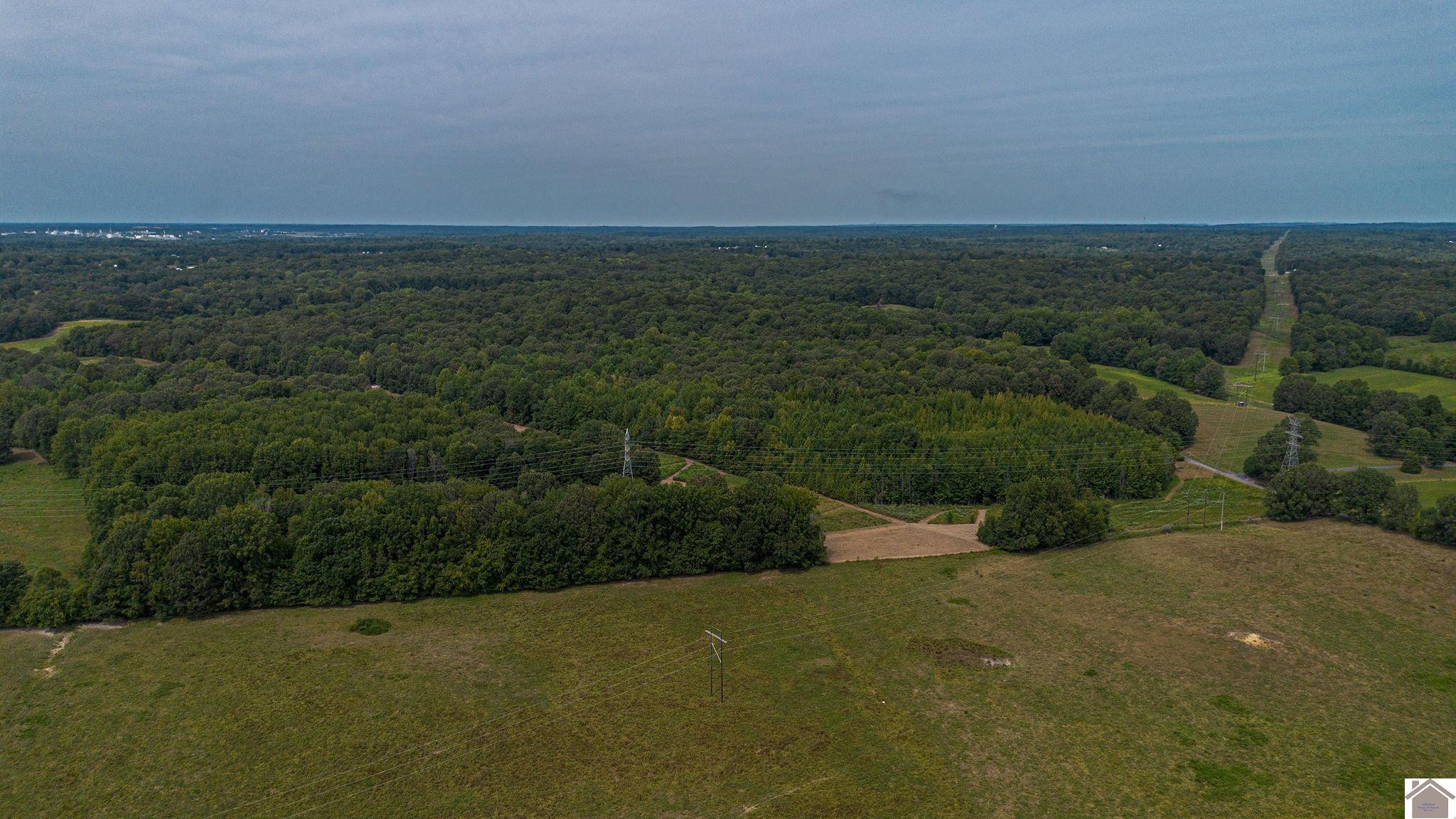 0 Corinth Church Road Grand Rivers, KY 42045 - Photo 19 of 49 Photo 19