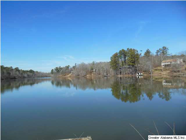 Lakeview Drive, Unit 10 Oneonta, AL 35121 - Photo 1 of 4