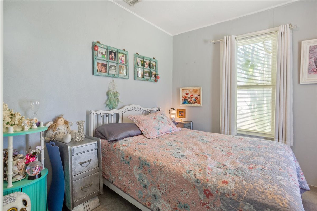 2804 Auction Barn Road Belton, TX 76513 - Photo 14 of 22 Bedroom with carpet flooring and ornamental molding