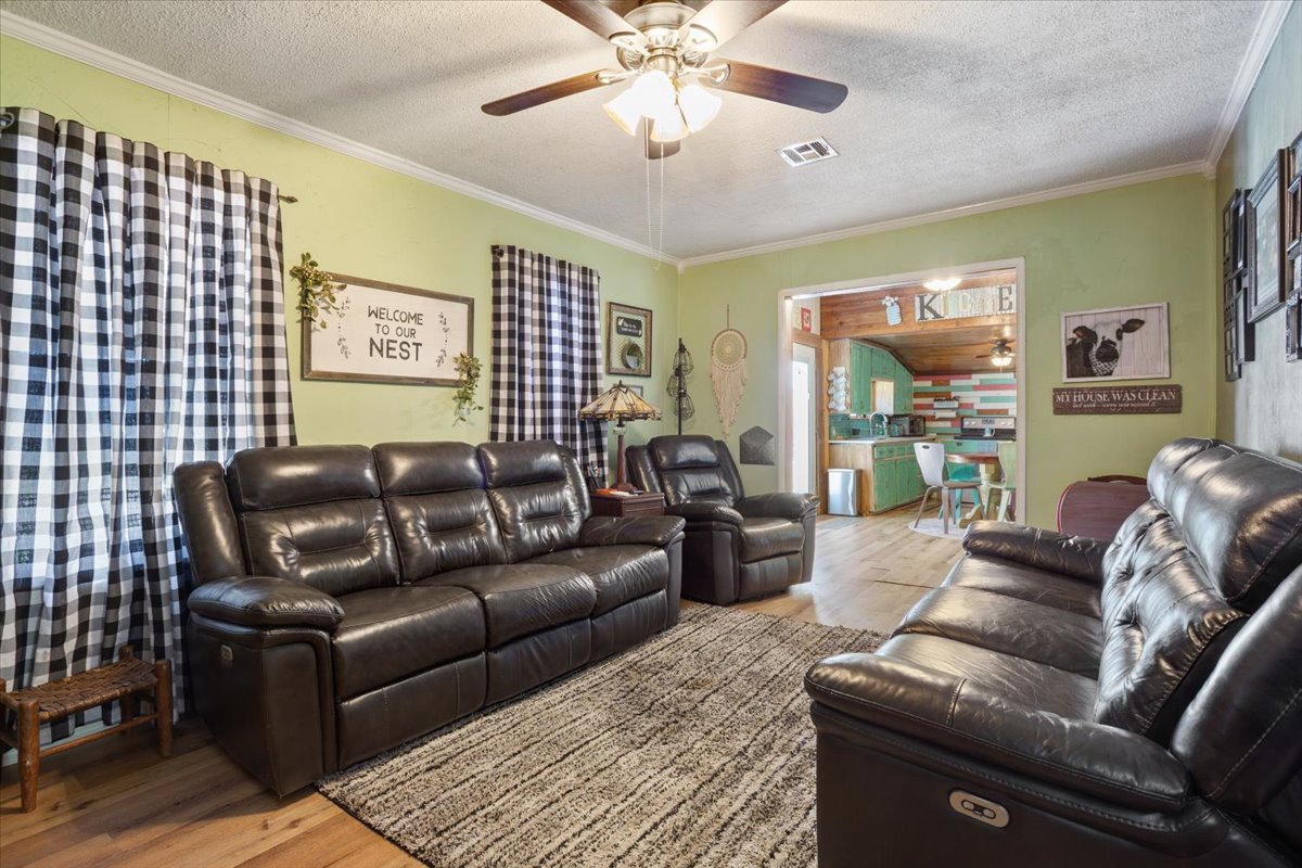 2804 Auction Barn Road Belton, TX 76513 - Photo 7 of 22 Living room with a textured ceiling, light wood-type flooring, ceiling fan, and crown molding