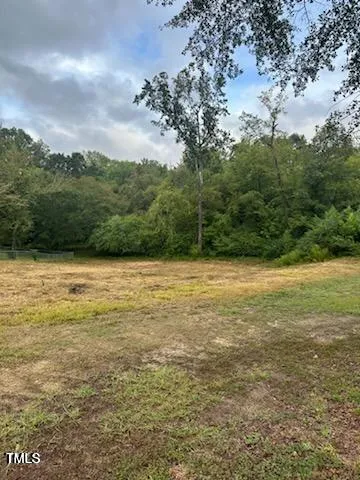 a view of backyard with green space