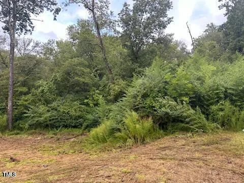 a view of a water fountain