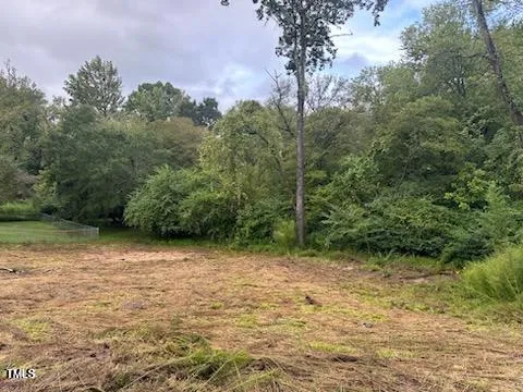 a view of a yard with a tree