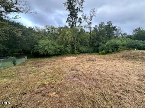a view of a lake with a tree