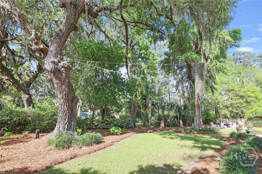 344 Bradley Point Road Savannah, GA 31410 - Photo 64 of 65