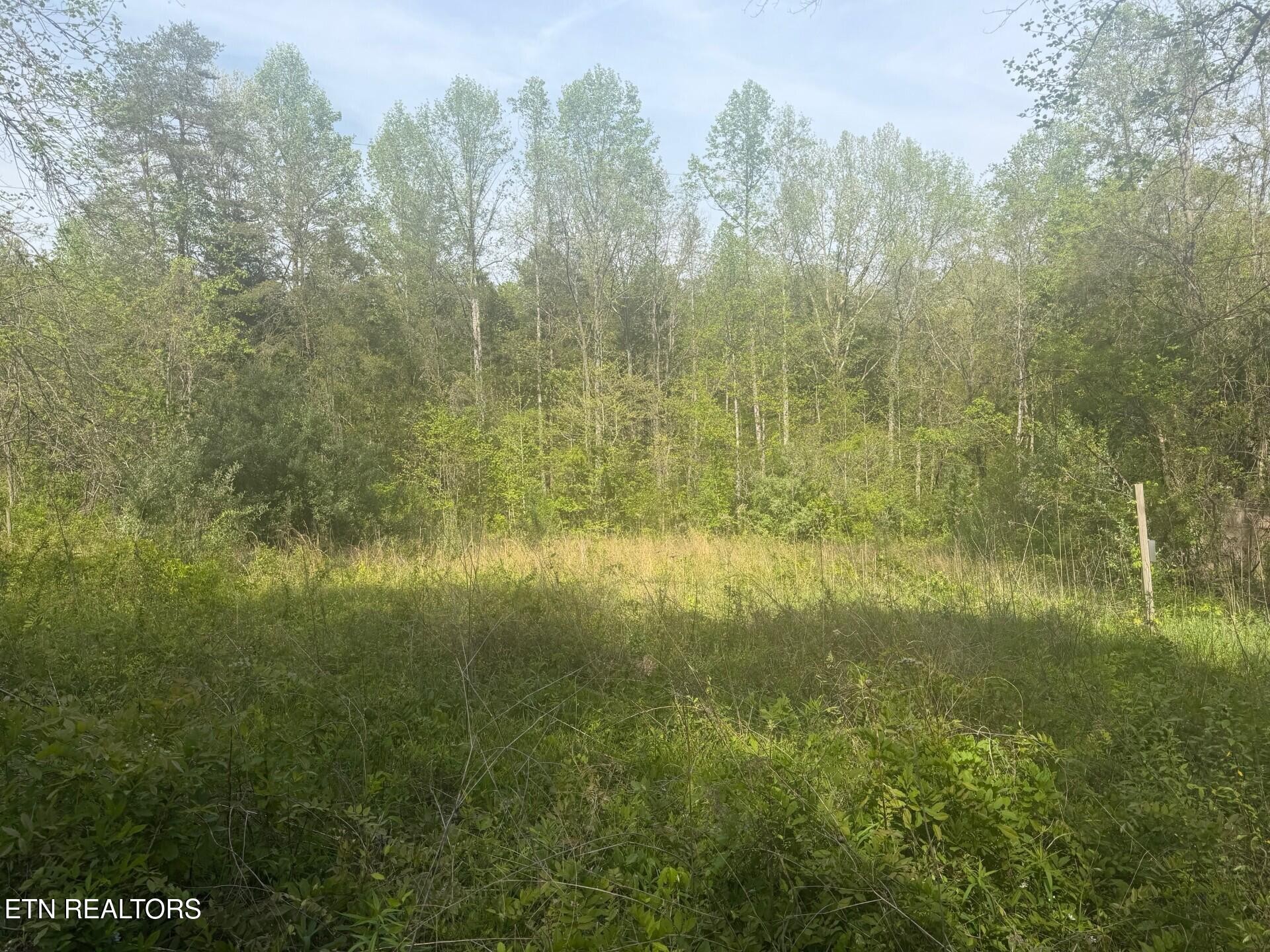 416 Satterfield Road Maynardville, TN 37807 - Photo 15 of 25 Gallery Image 15