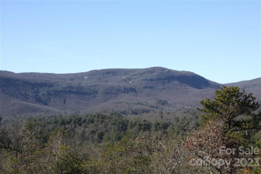 45 Quartz Mine Rd Lake Lake Toxaway, NC 28747 - Photo 1 of 5 a view of a dry field