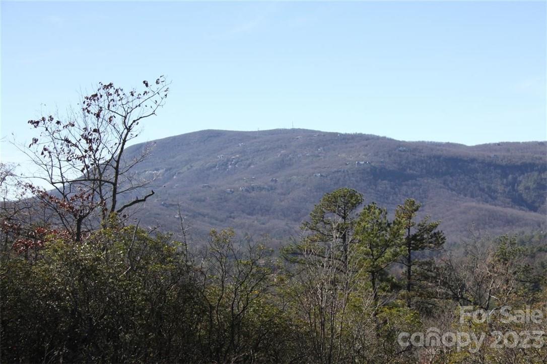 45 Quartz Mine Rd Lake Lake Toxaway, NC 28747 - Photo 3 of 5 a view of a dry yard with a mountain in the background