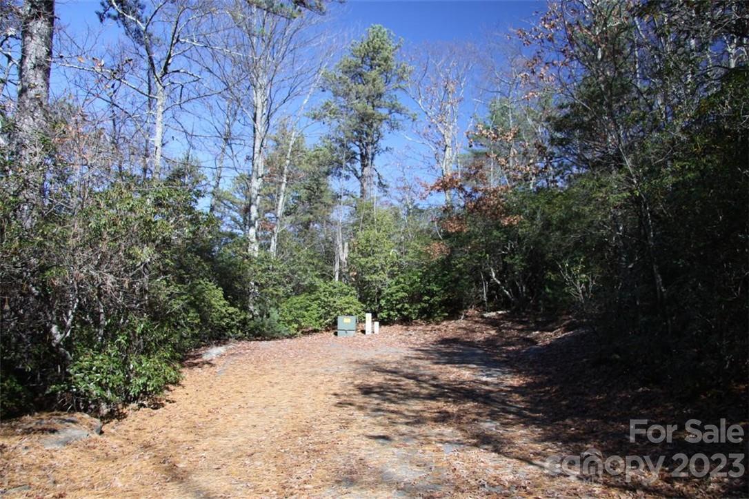 45 Quartz Mine Rd Lake Lake Toxaway, NC 28747 - Photo 5 of 5 a view of a forest filled with trees