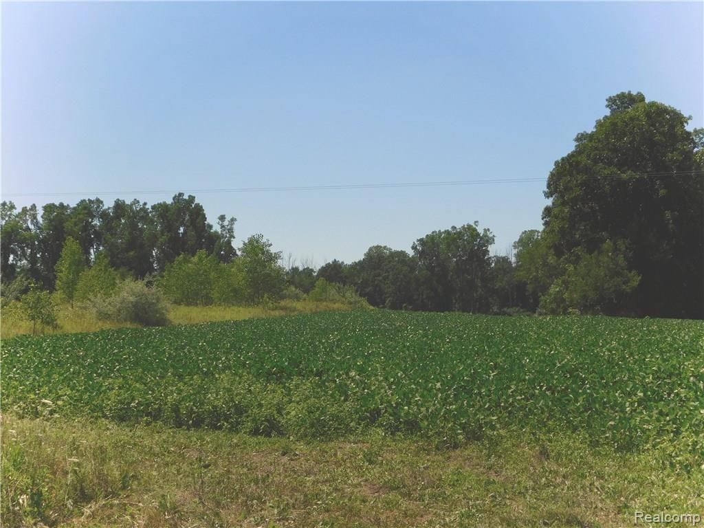 6-7 Stow Road Fowlerville, MI 48836 - Photo 1 of 1