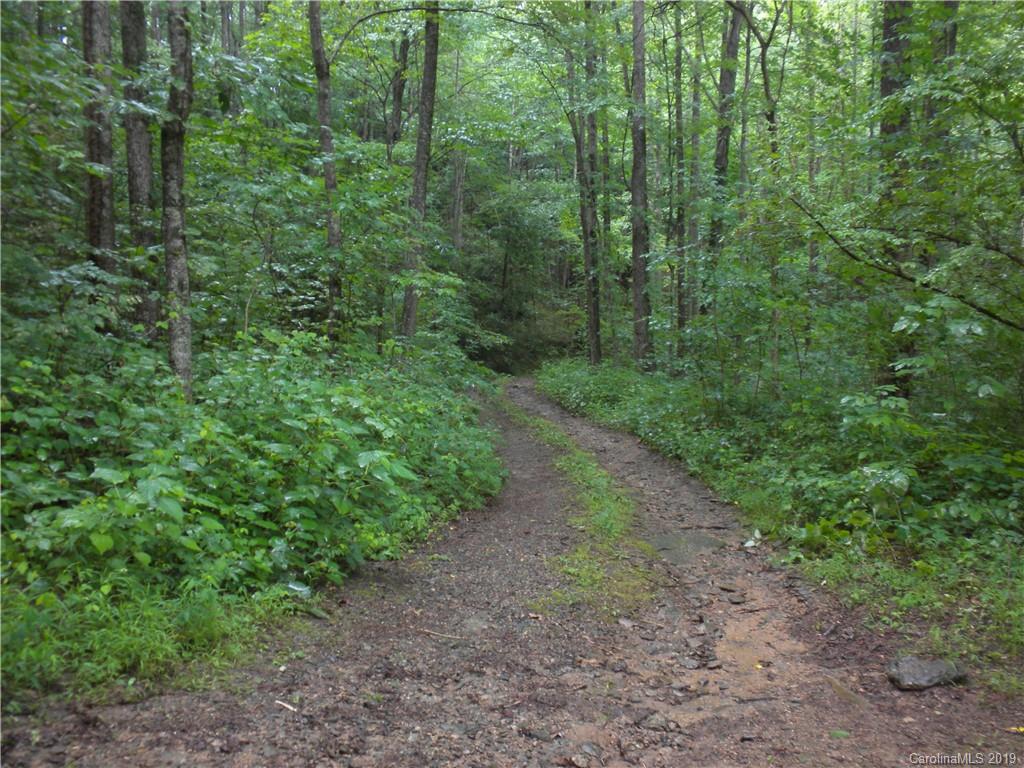 58 Reed Road Fairview, NC 28730 - Photo 34 of 46 Gallery Image 34