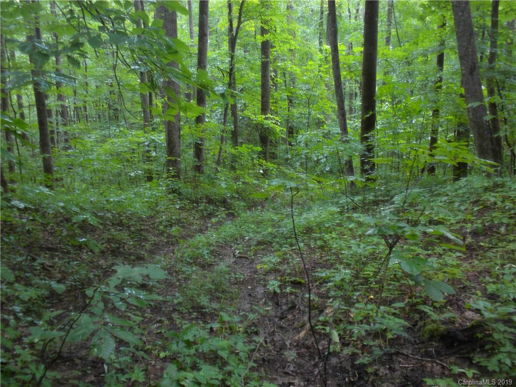 58 Reed Road Fairview, NC 28730 - Photo 41 of 46 Gallery Image 41
