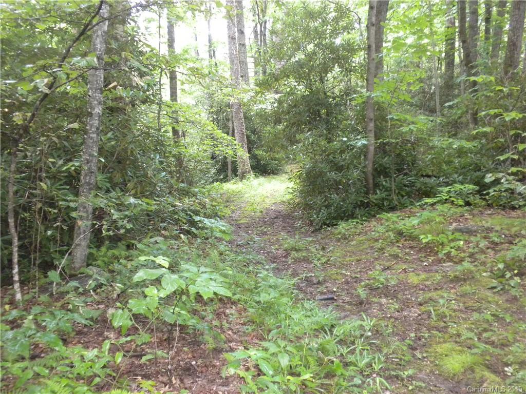58 Reed Road Fairview, NC 28730 - Photo 45 of 46 Gallery Image 45