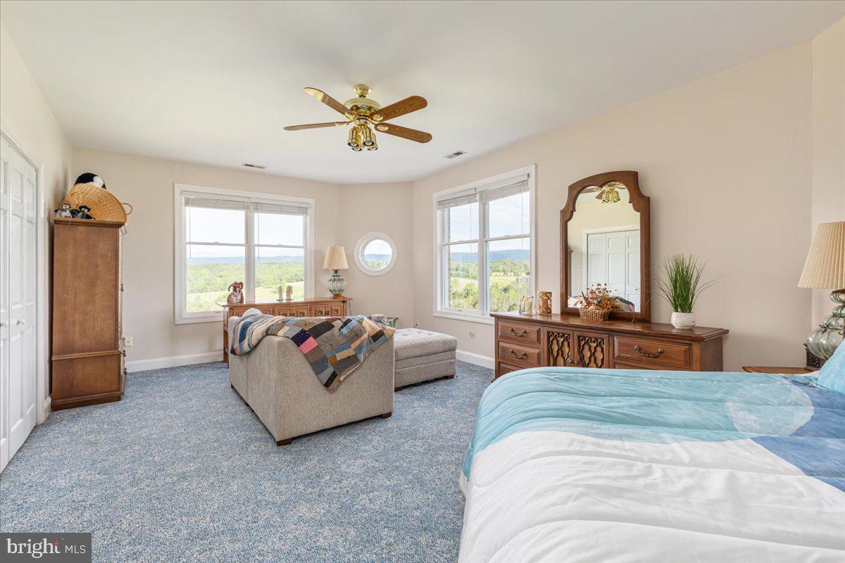 368 Ridge Hollow Road Edinburg, VA 22824 - Photo 41 of 145